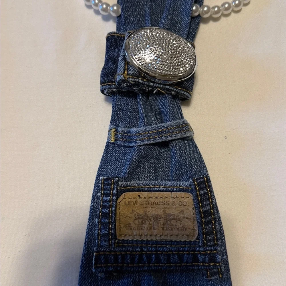 Denim Blue Men's Bag with Ladybug Detail - Picture 2 of 4
